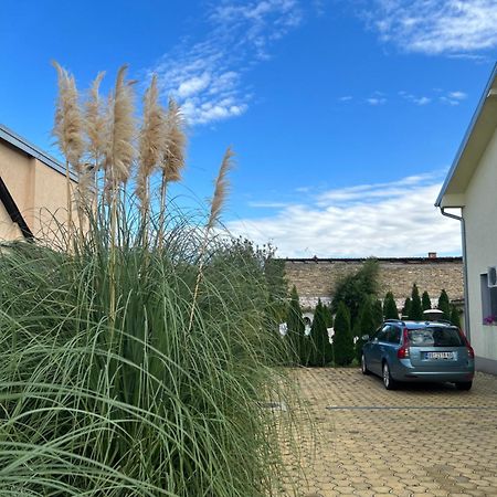 Nest Zen Garden Daire Novi Sad Dış mekan fotoğraf