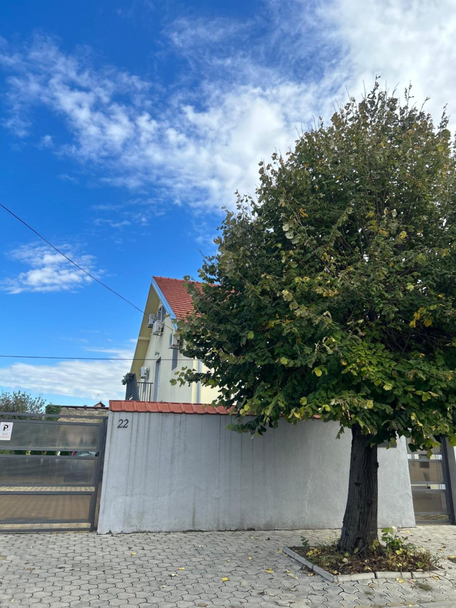 Nest Zen Garden Daire Novi Sad Dış mekan fotoğraf
